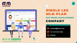 Single leg mlm plan software development company, Chennai, India