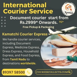 INTERNATIONAL COURIER SERVICE VELACHERI 8939758500, India