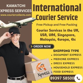 INTERNATIONAL COURIER SERVICE MAMBALAM8939758500, Chennai, India