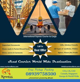 INTERNATIONAL EXPRESS COURIER VELACHERY 8939758500, Chennai, India