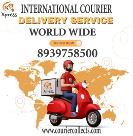 INTERNATIONAL COURIER GUDUVANCHERI 8939758500, Chennai, India