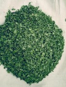 Moringa Dry Leaves, Thoothukudi, Tamil Nadu