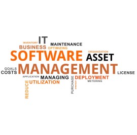 Software Asset Management Solutions for Businesses, Bengaluru, India