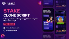 Build a gaming platform with stake clone script