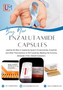 Enzamide Capsules Enzalutamide Price Wholesale, Delhi, India