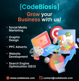 Web development agency, Lucknow, India