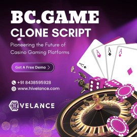 Launch Your Dream Online Casino Today with BC.Game