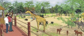 Zoo Animal Exhibit Design Consultant Services, Bangkok, Thailand