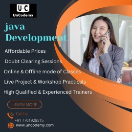 Java Mastery Made Easy: Online Course in Bhopal, Bhopal, India