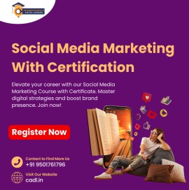 Social Media Marketing Course With Certificate In , Mohali, India