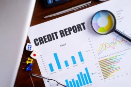 Business Credit Reporting Agency in India, New Delhi, India