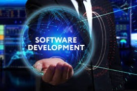 Customize Software Development Services, Gurgaon, India