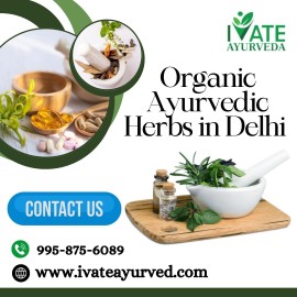  Delhi Leading Brands in Organic Ayurvedic Herbs, Kanpur, Uttar Pradesh