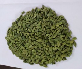 Cardamom, Thoothukudi, Tamil Nadu