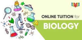 Ziyyara’s Online Tuition for Biology, Noida, India