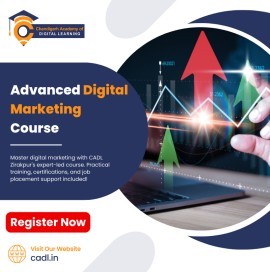 Advanced Digital Marketing Course In Zirakpur, Mohali, India