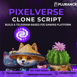 Pixelverse Clone Script- Get a Free Live Demo, Hanoi, Vietnam