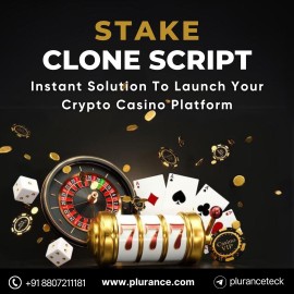 Stake Clone Script - Key to your casino dream, Seoul, South Korea