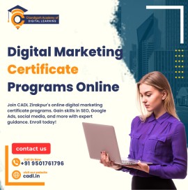 Digital Marketing Certificate Program Online , Mohali, India