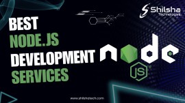 Best Node.Js Development Services in India, Noida, India