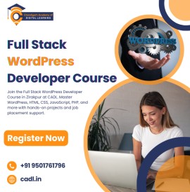 Full Stack Wordpress Developer Course In Zirakpur , Mohali, India