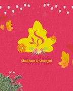 Elegant Save the Dates & Wedding Websites, New Delhi, India