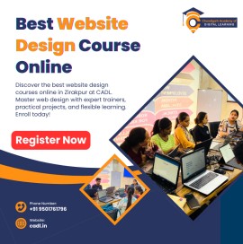 Best Website Design Courses Online In Zirakpur Wit, Mohali, India