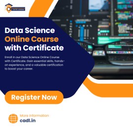 Data Science Online Course With Certificate In Zir, Mohali, India