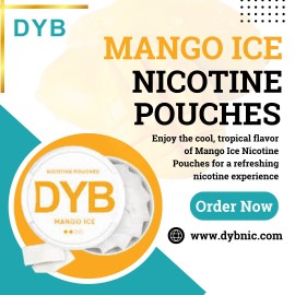 Unleash the Exotic Flavor: Mango Ice Nicotine Pouc, Delhi, National Capital Territory of De