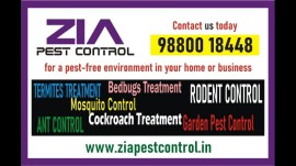 Zia Pest control | Cockroach service just Rs. 799/, Banaswadi, India