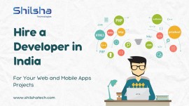 Hire a Developer in India for Your Web and Mobile , Noida, India