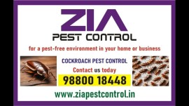 Cockroach service treatment Rs. 999/- only | Zia p, Bengaluru, India