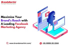 A Leading Facebook Marketing Agency, Dehli, India