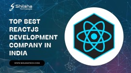 Best ReactJS Development Company in India, Noida, India