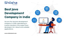 Best Java Development Company for Various Industry, Noida, India