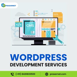 Affordable WordPress Development Services, California City, United States