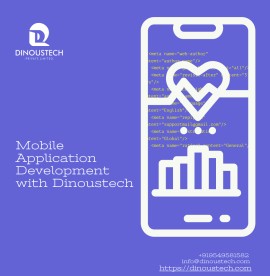 Mobile App Development & IT Consulting Agency , Jaipur, India