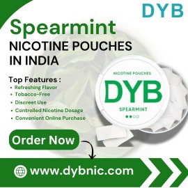 Spearmint Nicotine Pouches in India: Freshness Mee, New Delhi, India