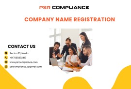 Company Name Registration  , Noida, India