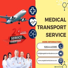 Book Angel Air and Train Ambulance in Patna, Patna, India