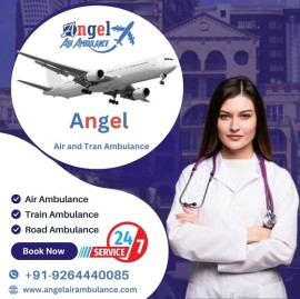 Excellent Angel Air and Train Ambulance Varanasi, Varanasi, India