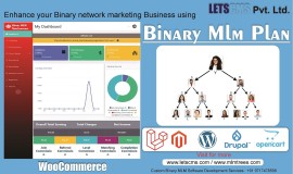 Binary mlm Plan | WP Binary MLM –Binary MLM Plugin, India