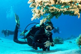 Andaman Adventure Tour Packages