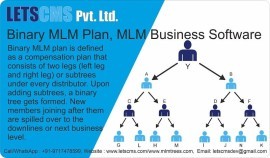 Binary MLM Software Demo | Binary MLM Compensation, Abbeville, Alabama