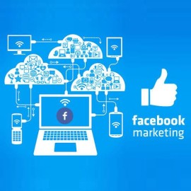 Recognized Facebook ads management agency in Delhi, New Delhi, India