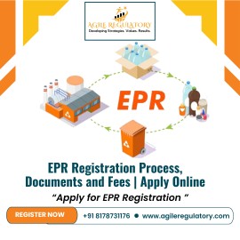 EPR Certificate for Import, Noida, India