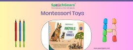 Best Montessori Toys , Noida, India