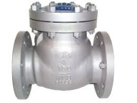 NON RETURN ( NRV ) VALVES IN KOLKATA, Kolkata, India