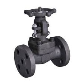 STEAM VALVES SUPPLIERS IN KOLKATA, Kolkata, India