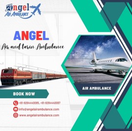 Angel Air Ambulance Service in Raipur, Raipur, India